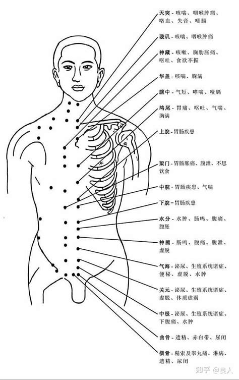 二十大名穴|女性人体穴位图解大全